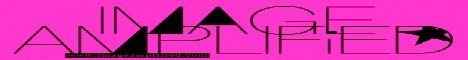  Image Amplified. The Flash and Glam of All Things Pop Culture: Photography, Music, Fashion, Film and Art 